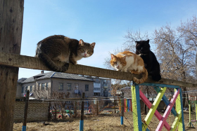 ������� ������ � ���������: ������ ����� ����� ������