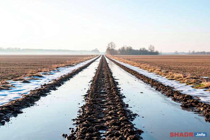 31 ����� 2026 ���� � ���� �������, ��� ����� �����: ��������, ������� � �������