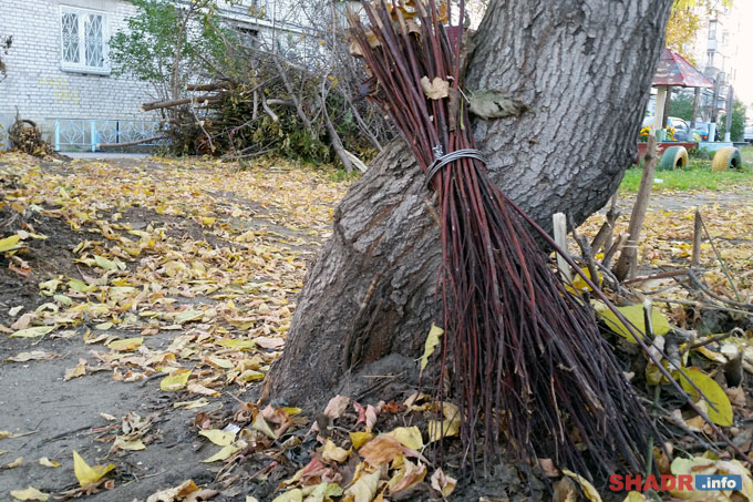 � ��������� �������� �������� �� ���������� ������� � ���������������