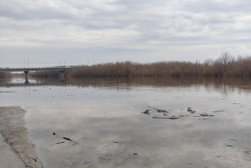 В реке Исеть на территории Шадринска уровень воды стабильно высокий
