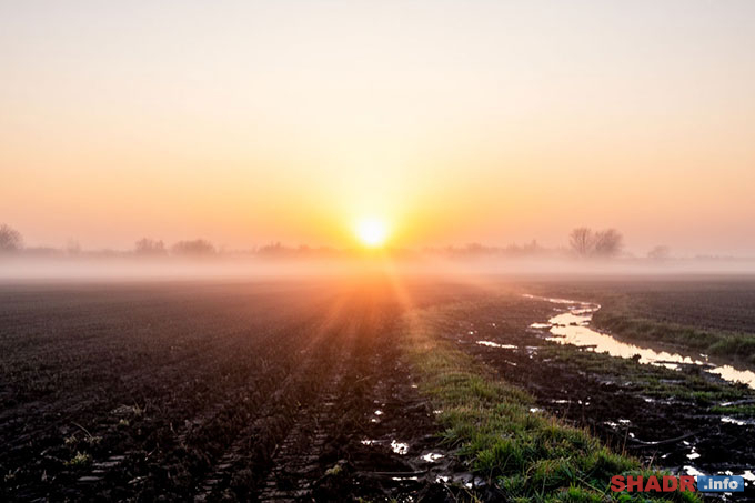 8 ������ � ���� �������� ����������: ��������� ������, ���������� �� ��������, ������� �������