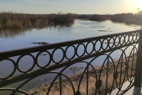 �� ���������� ��������� � ���� ����� ��������� ���� ������ ����