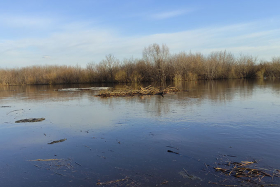 � ��������� �� ���� ����� ��������� ���� ������ ����