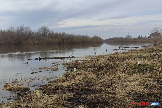 ������ ������� � �����: �������� �� ������ �������� ������� ������������