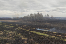 � 10 ������ � ���������� ������� ������� ������������� �����