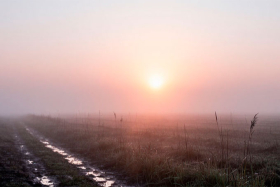 23 ������ � ���� �������� ���������: �������� ������� � �������