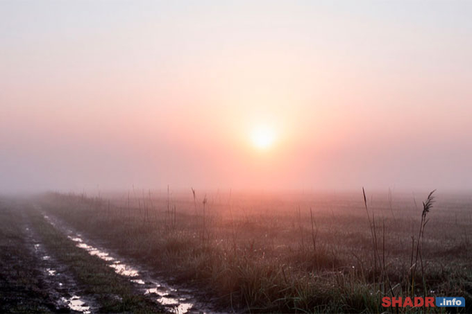 23 ������ � ���� �������� ���������: �������� ������� � �������