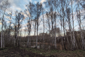 ������ �� ������: �������� � �������