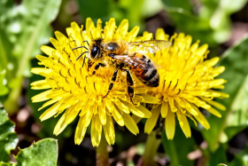 28 ������ � ����� ����: ��������, ������� � �������� �������