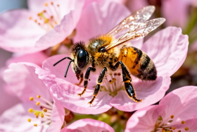 30 ������ � ���� ������ ���������: ��� ������ ������?