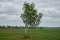 ���� ������ ���������: �������� ������� � ������� �� 21 �������