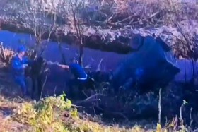 Полицейские помогли выбраться водителю из тонущего автомобиля